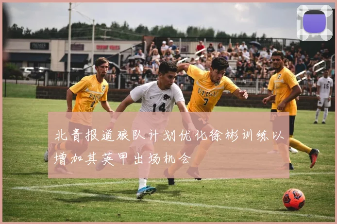 北青报道狼队计划优化徐彬训练以增加其英甲出场机会
