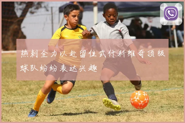 热刺全力以赴留住武什科维奇顶级球队纷纷表达兴趣